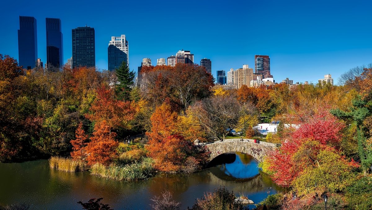 Why Is Central Park So Famous?